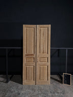 Antique 3 Panel Double Doors - 44x96 - N21