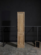 Antique 2 Panel Single Door - 19.75x98.25 - L341