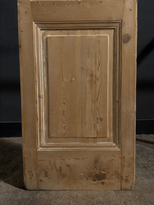 Antique Raised Panel Glass Pantry Door - 24x90 - N776