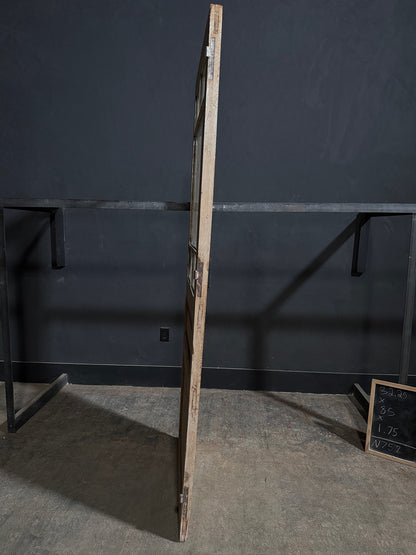Antique Raised Panel Glass Pantry Door - 32.25x85 - N757