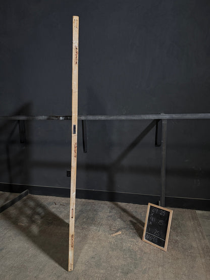 Antique Glass 21 Lite Single Door - 29.25x91.75 - N693