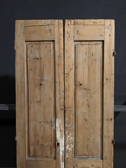 Antique Carved 3 Panel Double Doors - 37.75x92.5 - N705