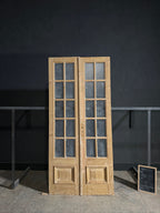 Antique Obscured Glass 10 Lite French Doors - 44x96 - N672