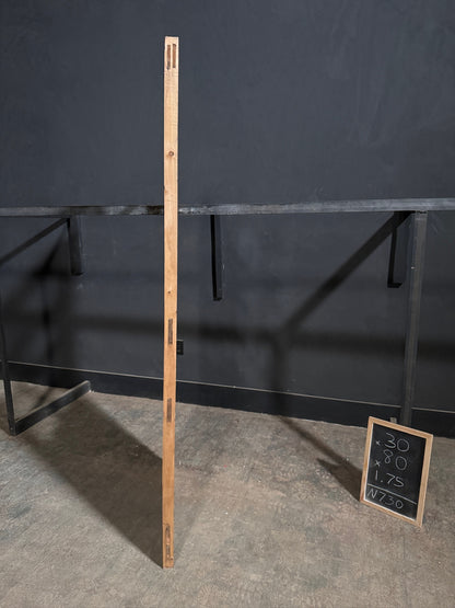 Handcrafted 8 Lite Single Glass Door - 30x80 N730