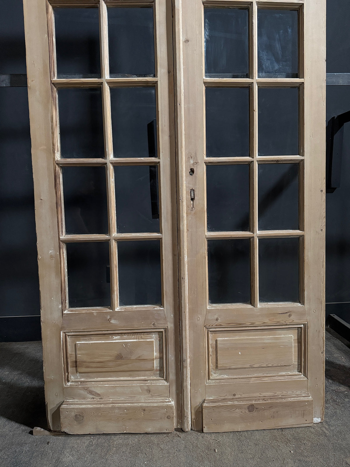 Antique Clear Glass Raised Panel French Doors - 48x98.5 - N772