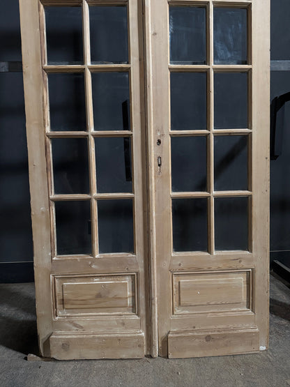 Antique Clear Glass Raised Panel French Doors - 48x98.5 - N772