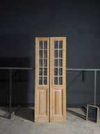 Antique Glass 10 Lite French Doors - 35x95 - N659