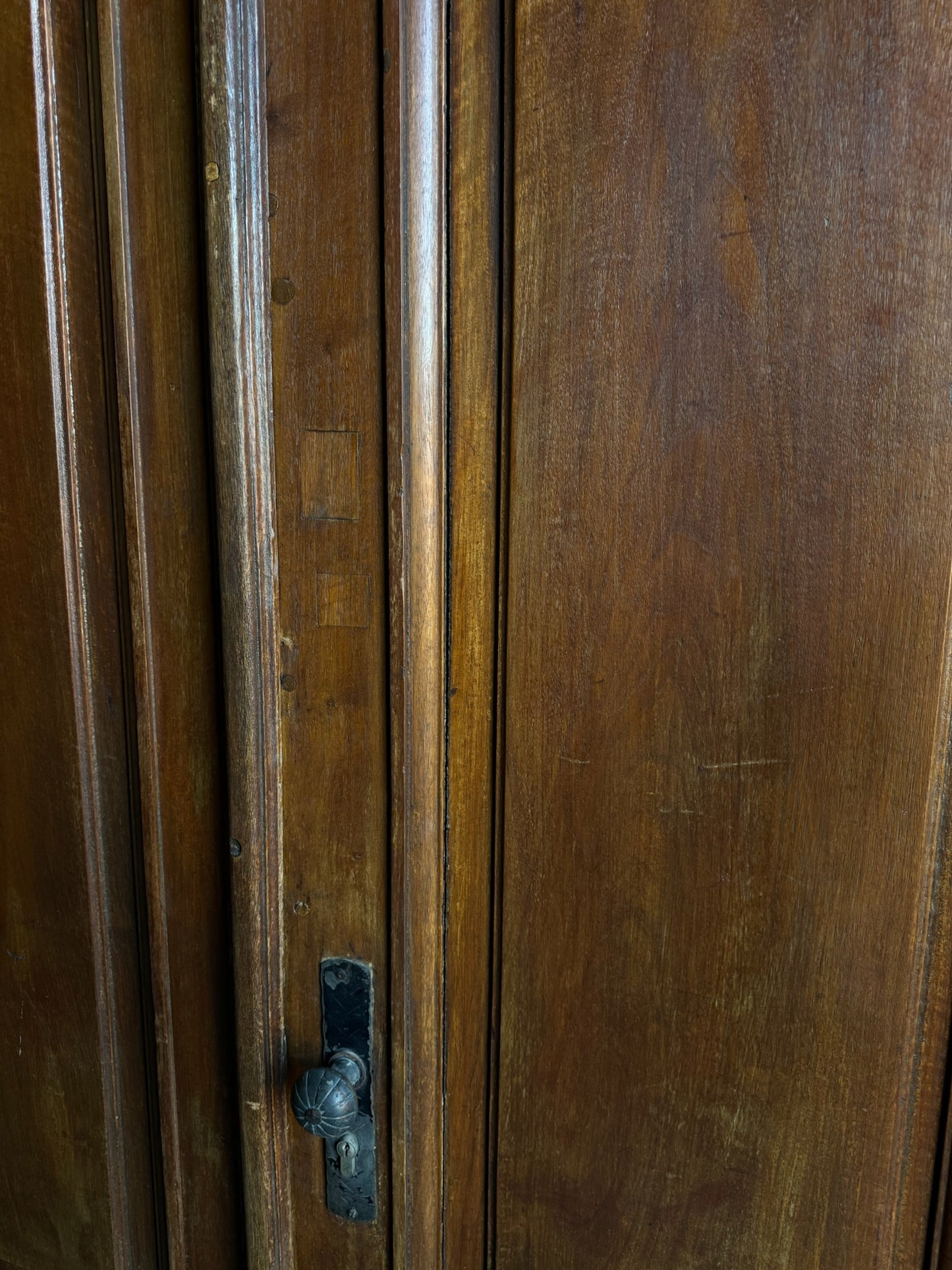 Antique French Iron Window Double Doors - 51x103.5 - L280