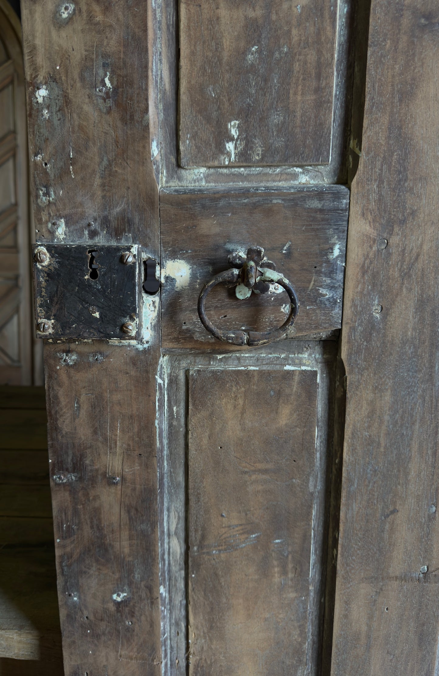 Spanish Multi-Panel Antique Door Pair - 38x87.5 - L262