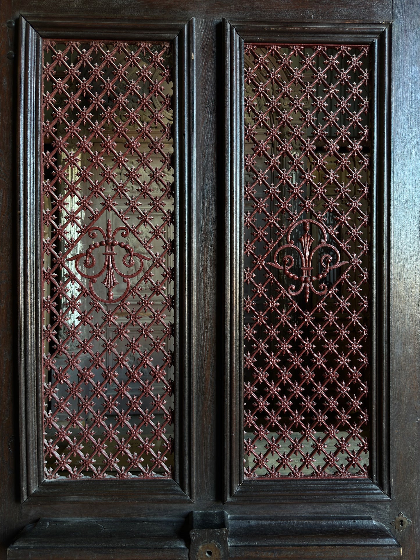 Antique French Iron Grille Door with Fleur-de-Lis Detail - 48x91 - L278