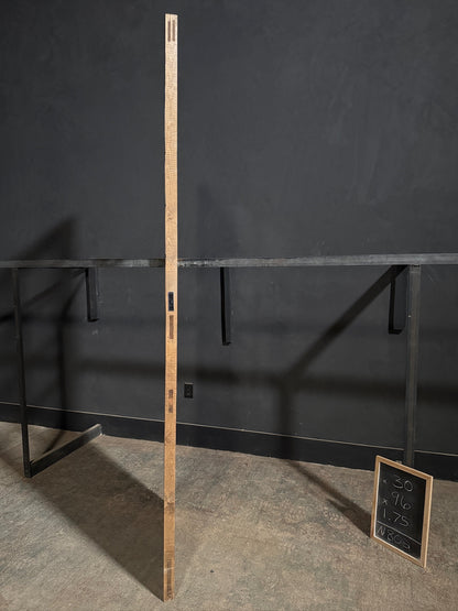 Handcrafted 8 Lite Single Glass Door - 30x96 N802