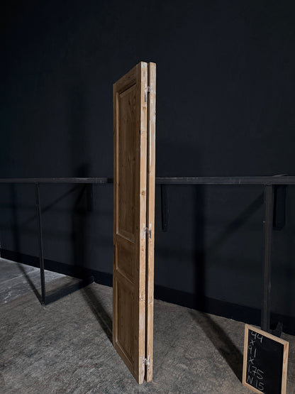 Antique Door - 44x99 - N15