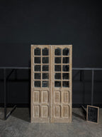 Antique Mirrored 10 Lite French Doors - 44.75x84.5 - N287