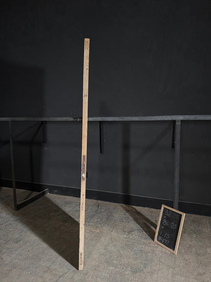 Antique Obscured Glass Single Door - 32x86.25 - N497