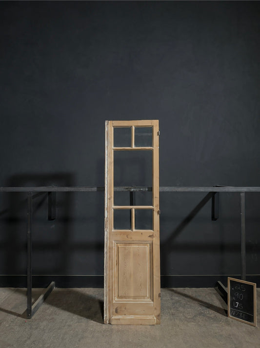 Antique Raised Panel Glass Pantry Door - 25x90 - N781