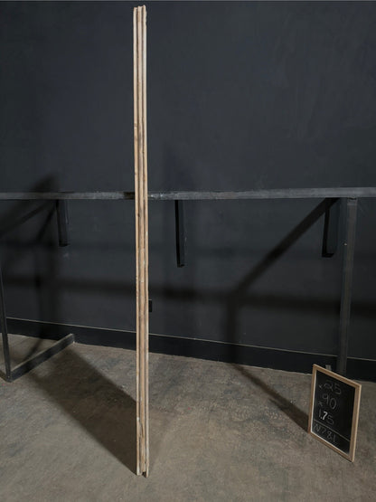 Antique Raised Panel Glass Pantry Door - 25x90 - N781