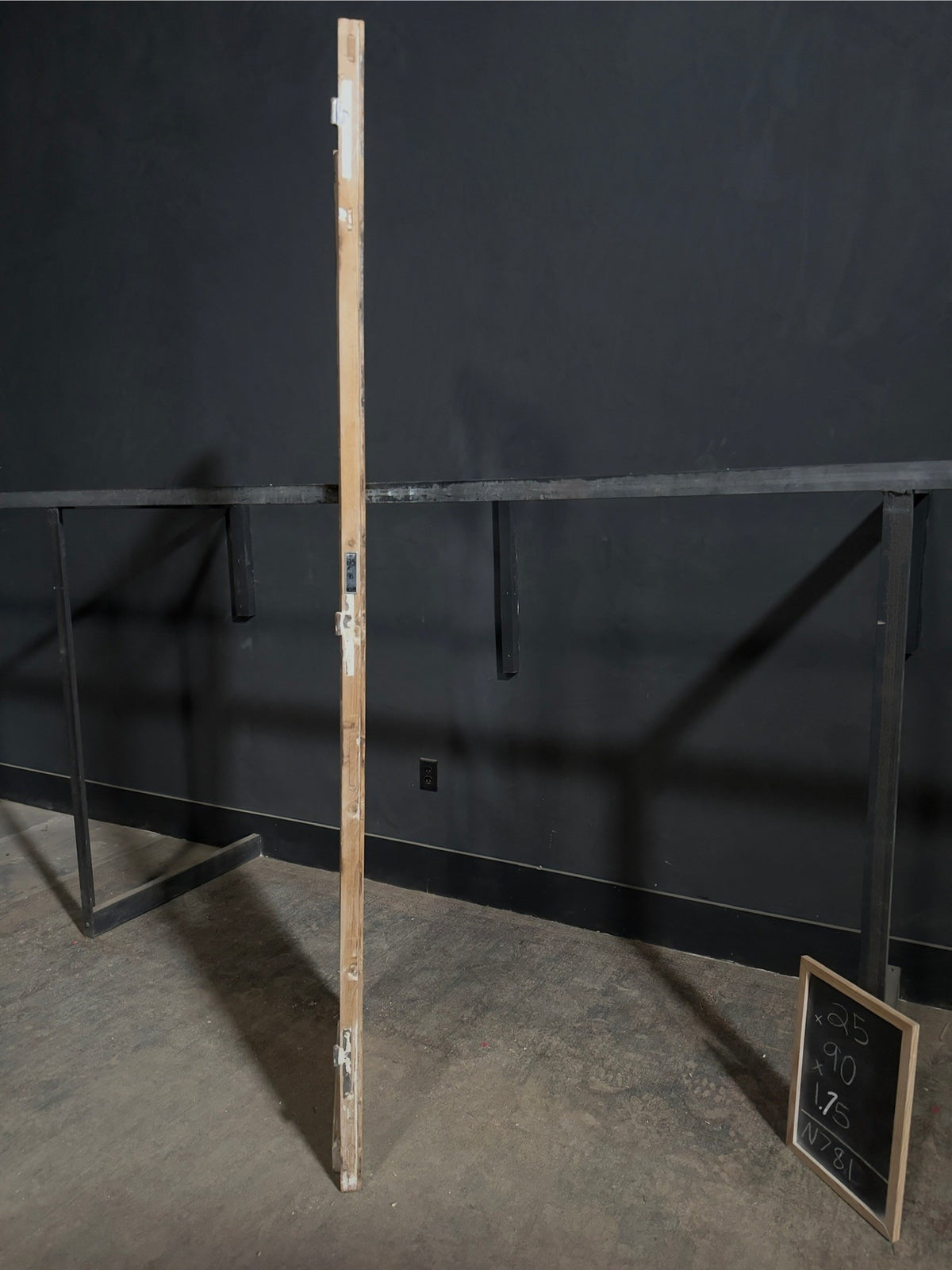 Antique Raised Panel Glass Pantry Door - 25x90 - N781