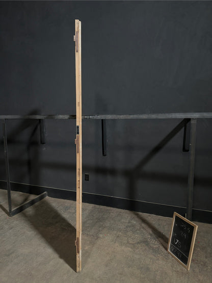 Antique Raised Panel Glass Pantry Door - 25.5x89 - N791