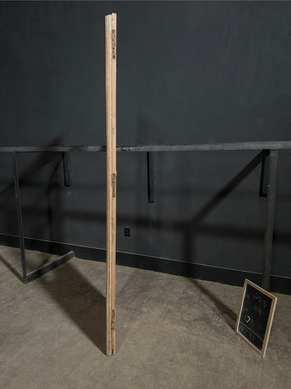 Antique Raised Panel Glass Pantry Door - 25.5x89 - N791