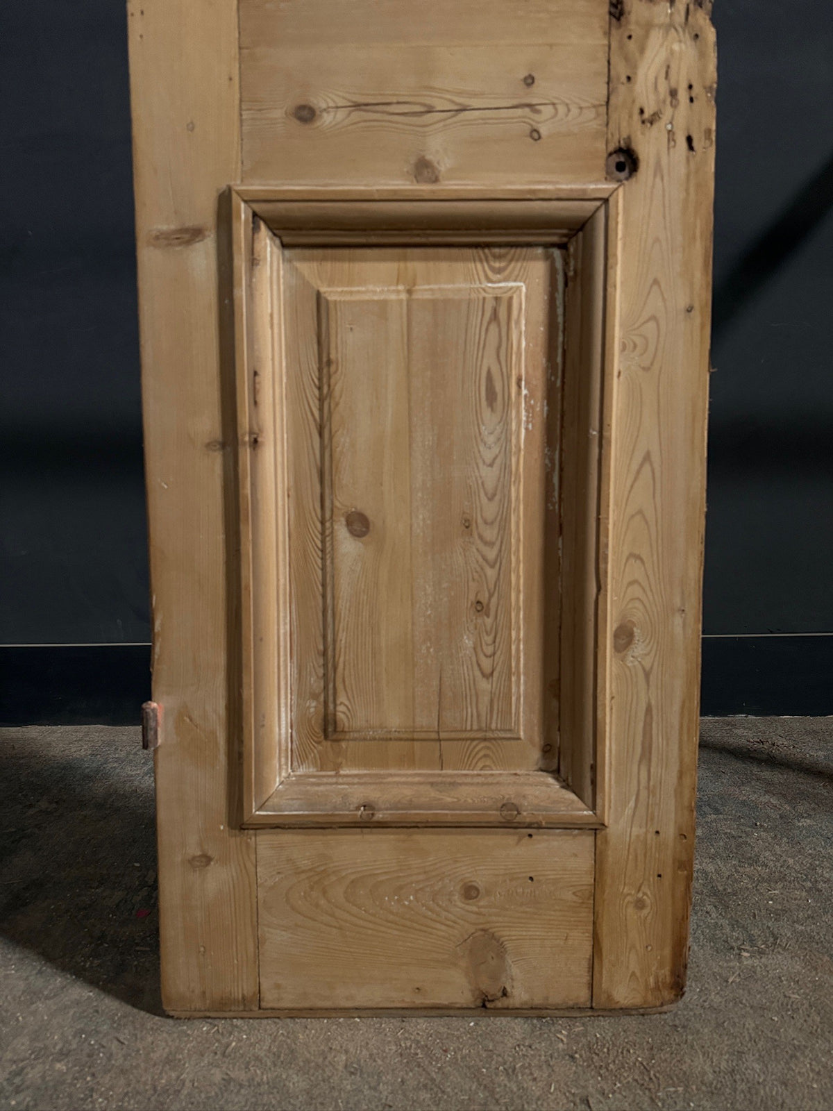 Antique Architectural Raised Panel Glass Door - 21.5x98 - N841