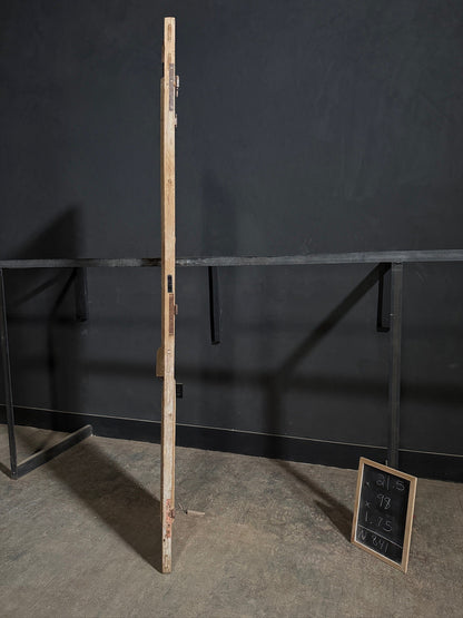 Antique Architectural Raised Panel Glass Door - 21.5x98 - N841