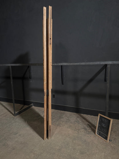 Antique Raised Panel Glass Double Doors - 43x96 - N844