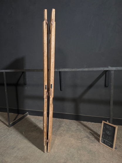 Antique Raised Panel Glass Double Doors - 43x96 - N844
